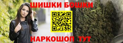 гашик Славгород