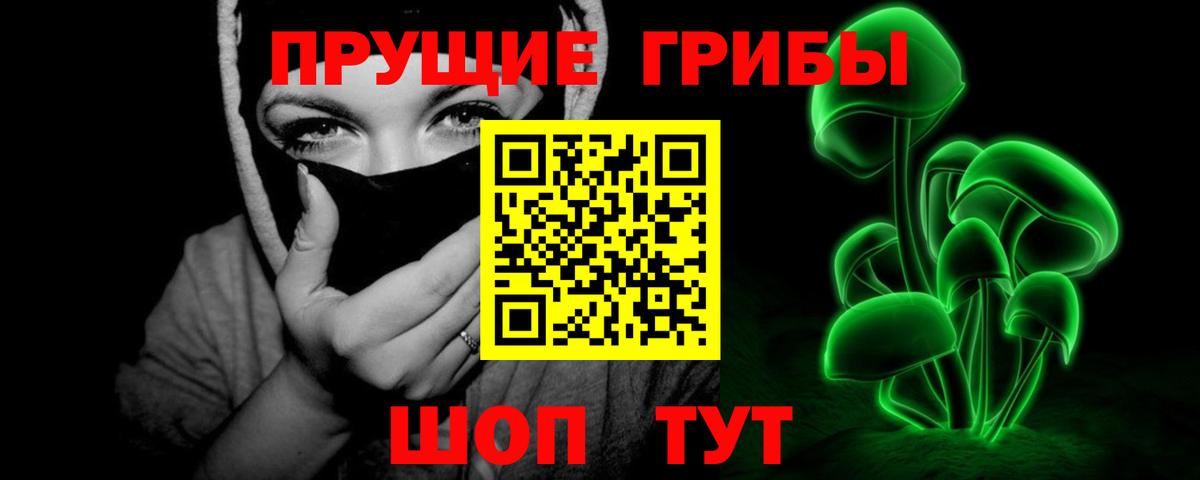 Галлюциногенные грибы прущие грибы  Вход с VPN  Псилоцибиновые грибы мухоморы  Прохладный 